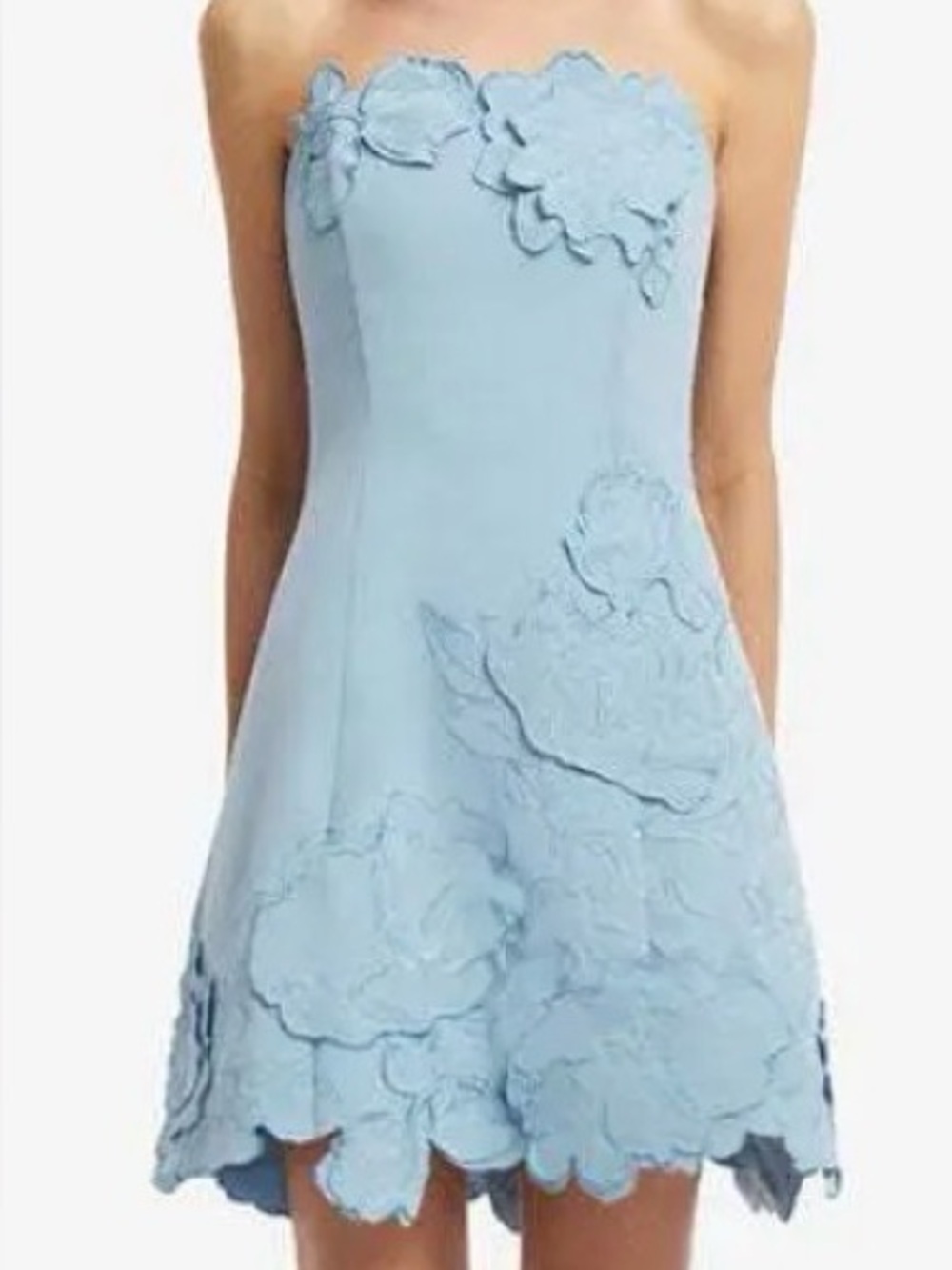 Light Blue Floral Applique Mini Dress